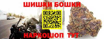 сатива Бузулук