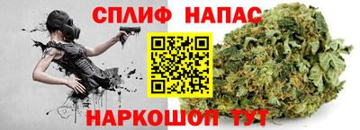 сатива Бузулук