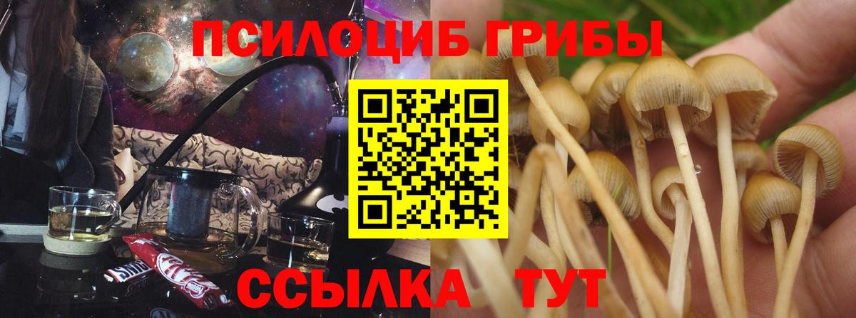 Галлюциногенные грибы Cubensis  Вход с VPN  Галлюциногенные грибы Psilocybe  Киселёвск 