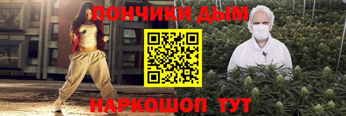 Конопля гибрид Киселёвск